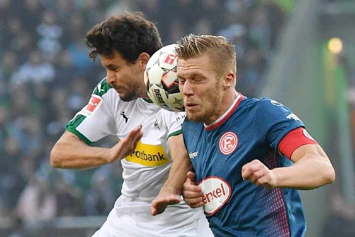 据上的贡献 据上的贡献