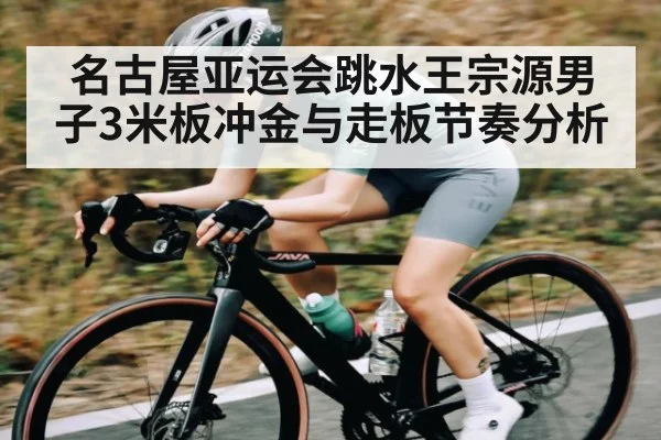 名古屋亚运会跳水王宗源男子3米板冲金与走板节奏分析